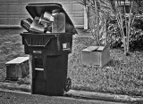 I Threw it All Away