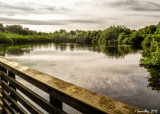 Boardwalk Railing