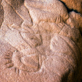 Camelin engraving