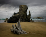 Oregon Coast