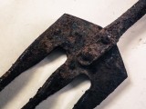  Rust