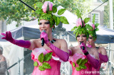 the Rozettes