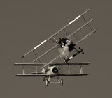 Dogfight_3226.jpg