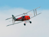 Tiger Moth_9800.jpg