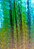 Spring Abstract.jpg