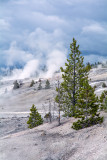Norris Geyser Scenery-.JPG