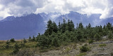 Hurricane Ridge.jpg