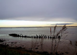 breydon water