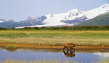 Katmai-National-Park.gif