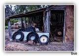 Tumbledown Leantoo  at Nannup