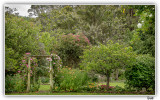 Layers Of Flowers And Foliage