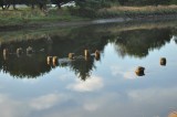 Sunrise on river at RV park