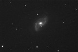 NGC 5248 -- 5/12/13, 5 min. L, 10 f/8