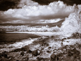 IMG_0995.jpg