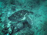 PA030746.jpg