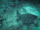 PA030750.jpg