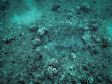 PA030763.jpg
