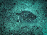 PA030765.jpg