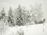 Paysage de neige