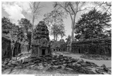 Ta Prohm