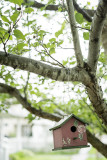 Birdhouse