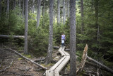 Jordan Pond Hike