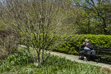 Central Park #12200