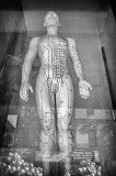 Acupuncture Figurine