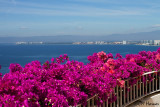 4700 View of PV from Grand Miramar.jpg