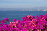 4704 View of PV from Grand Miramar.jpg