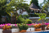 4723 View from the pool.jpg
