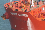 Prime Ginger - 28 jan 2014 - detalhe.JPG