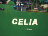 Celia - 24 ago 2016 - detalhe.JPG