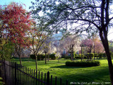 Springtime at Lanier Mansion