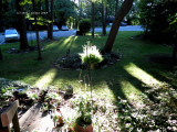 Evening Sun on Front Yard