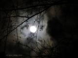 Last Nights' Full Moon