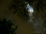 Shrouded Full Moon