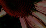 001 banner.jpg