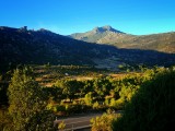 Entre Becerril y Navacerrada