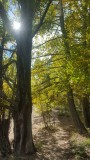 en el embalse