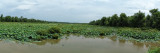 Ballard Wildlife Refuge DSC00317.jpg