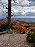 Bryce Canyon HDR DSC02080.jpg