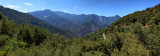 Sequoia National Park HDR Pano-2 images.jpg