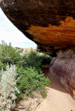 Cave Spring Trail Canyonlands HDR DSC04633.jpg