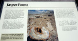 Petrified Forest National Park DSC05434.jpg