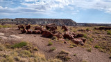 Petrified Forest National Park HDR DSC05320.jpg