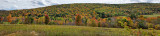 Fall Foliage NEW York RX10