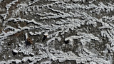 (HDR) (Patterns) Road Salt Frozen on Garage Floor