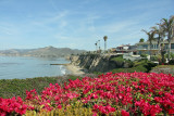 Pismo Beach Spyglass Park