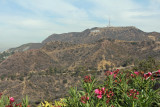 Hollywood hills and sign